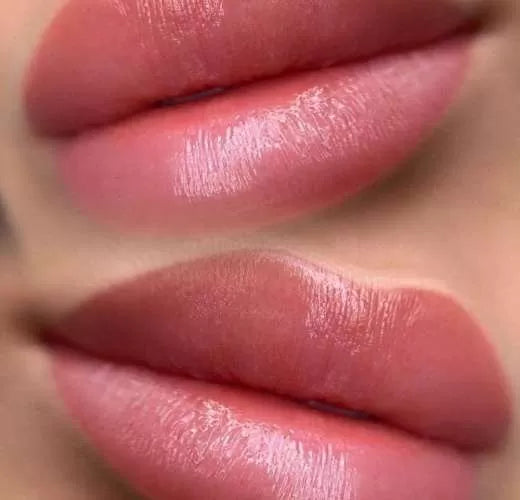 Dusty Rose Lips 